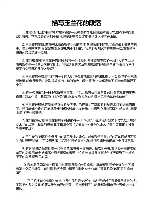 描写玉兰花的段落