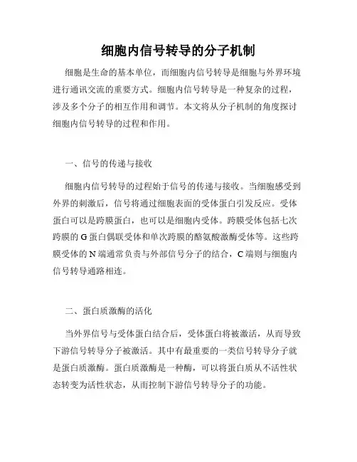 细胞内信号转导的分子机制
