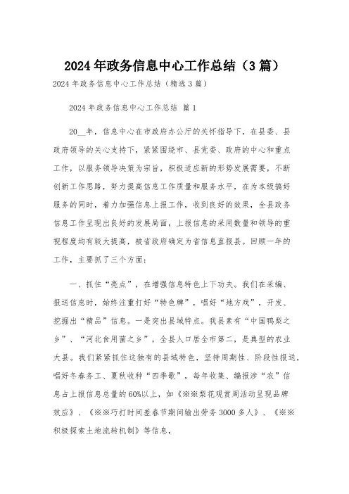 2024年政务信息中心工作总结(3篇)
