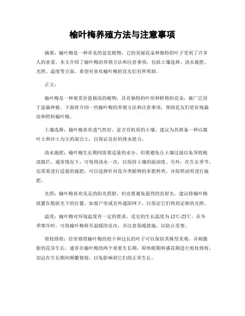 榆叶梅养殖方法与注意事项