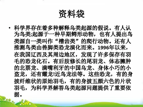 部编版语文《飞向蓝天的恐龙》PPT-教研课件1