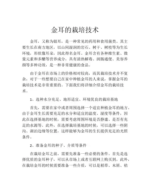 金耳的栽培技术