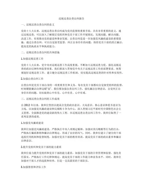 巡视巡查自查自纠报告