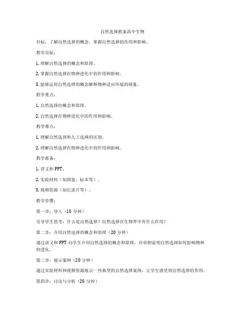 自然选择教案高中生物