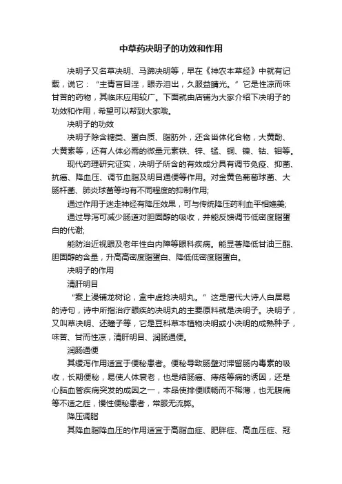 中草药决明子的功效和作用