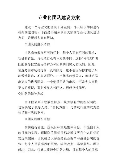 专业化团队建设方案