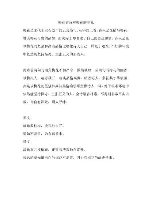 梅花古诗对梅花的印象