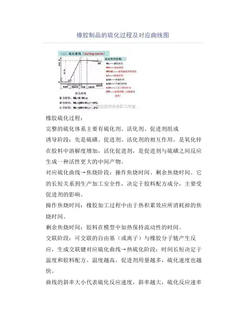 橡胶制品的硫化过程及对应曲线图