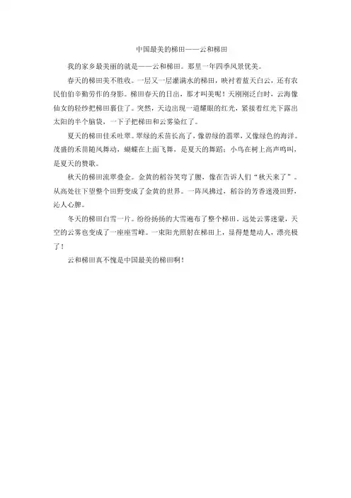 中国最美的梯田——云和梯田