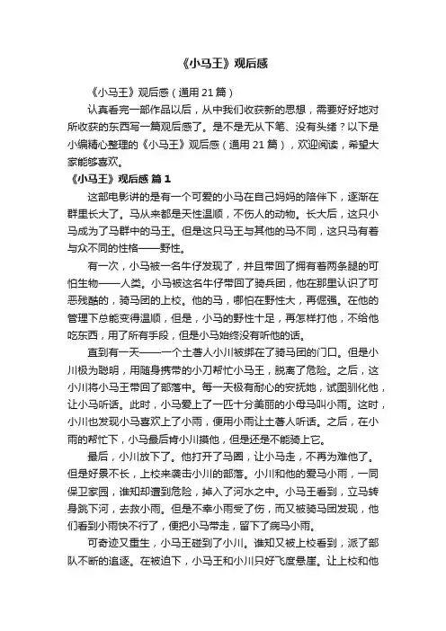 《小马王》观后感