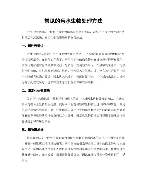 常见的污水生物处理方法