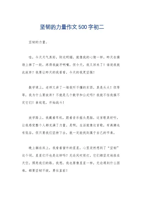 坚韧的力量作文500字初二