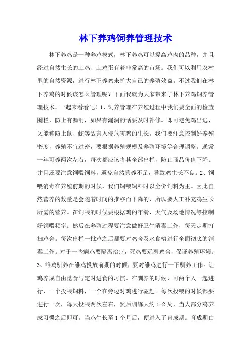 林下养鸡饲养管理技术