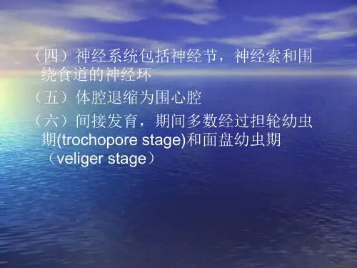 一贝类的主要特性