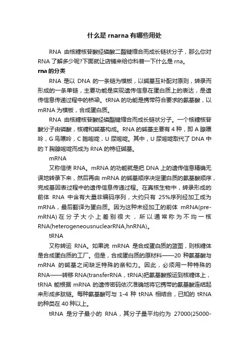 什么是rnarna有哪些用处