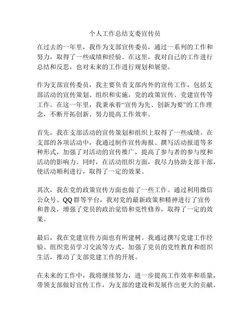 个人工作总结支委宣传员