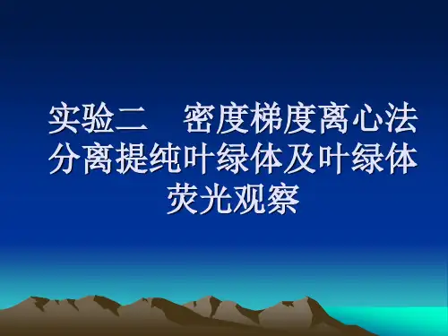 实验二 密度梯度离心法分离提纯叶绿体及叶绿体荧光观察
