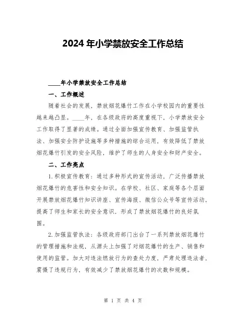 2024年小学禁放安全工作总结