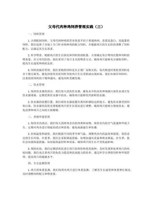 父母代肉种鸡饲养管理实践(三)