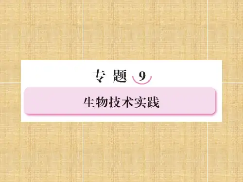 生物技术实践课件