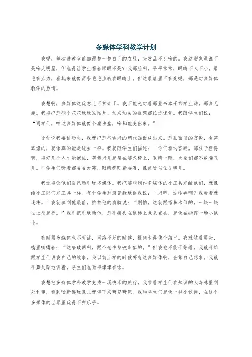 多媒体学科教学计划