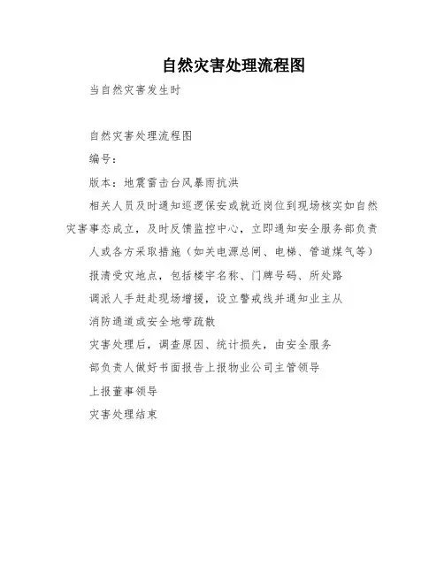 自然灾害处理流程图