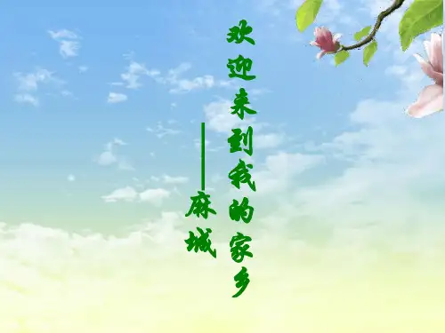 家乡麻城展示