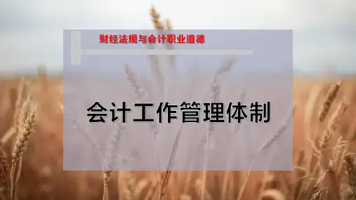会计工作管理体制