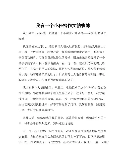 我有一个小秘密作文怕蜘蛛