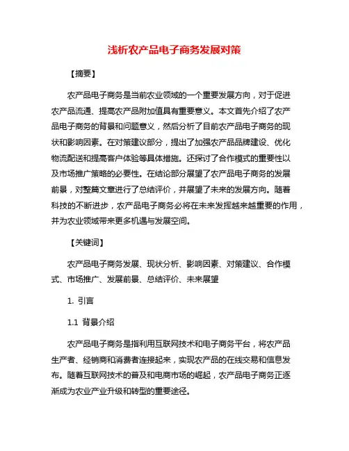 浅析农产品电子商务发展对策