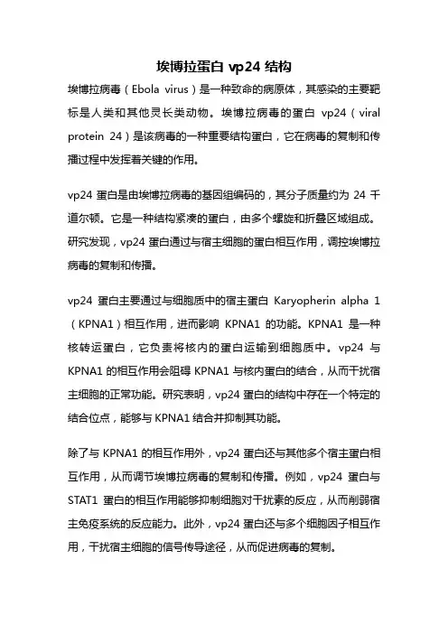 埃博拉蛋白vp24结构