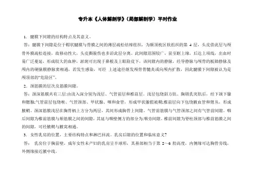 专升本—局部解剖学平时作业