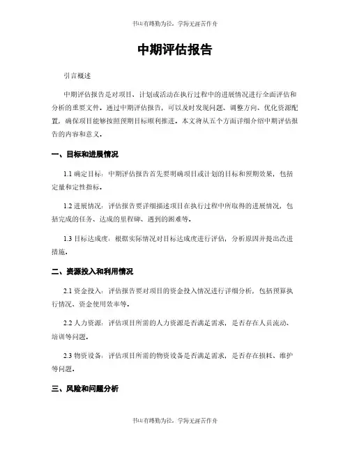 中期评估报告