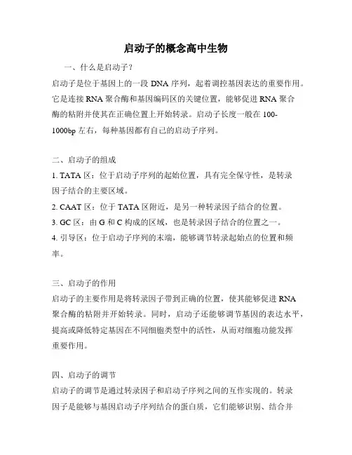 启动子的概念高中生物