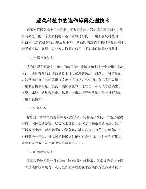 蔬菜种植中的连作障碍处理技术