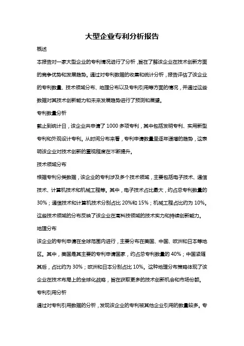 大型企业专利分析报告