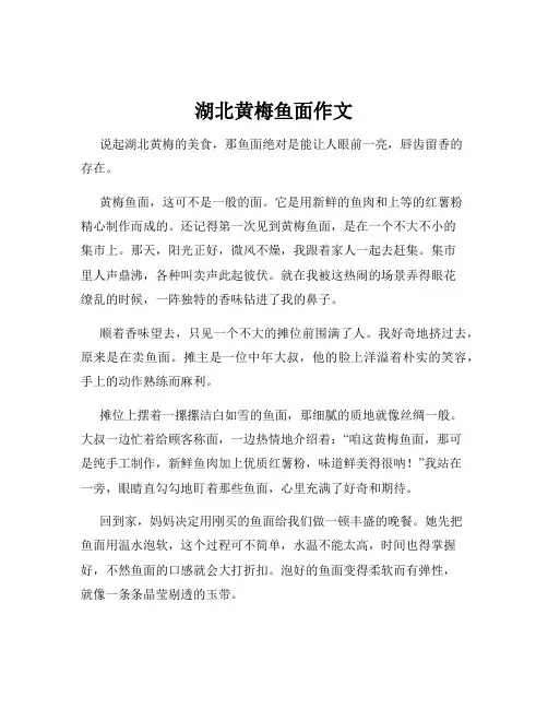 湖北黄梅鱼面作文