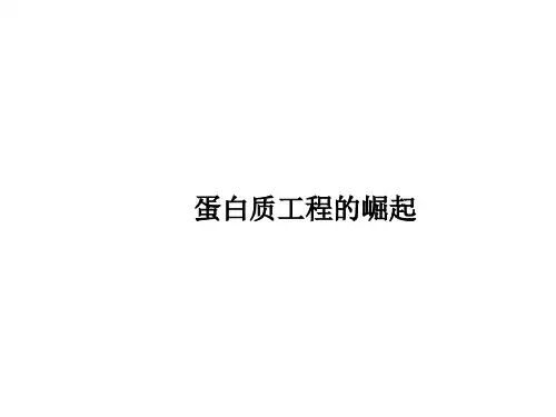 蛋白质工程的崛起 课件