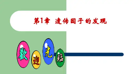 人教版必修2生物：1.1 孟德尔的豌豆杂交实验(一)  课件(共16张PPT)1