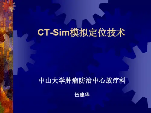 CT-Sim模拟定位技术