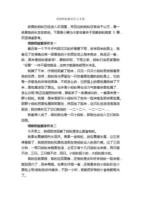 观察蚂蚁搬家作文5篇_小学五年级作文_