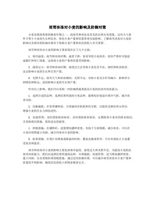 雨雪冰冻对小麦的影响及防御对策