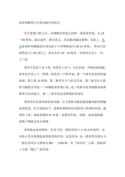 食管的解剖与生理功能有何特点