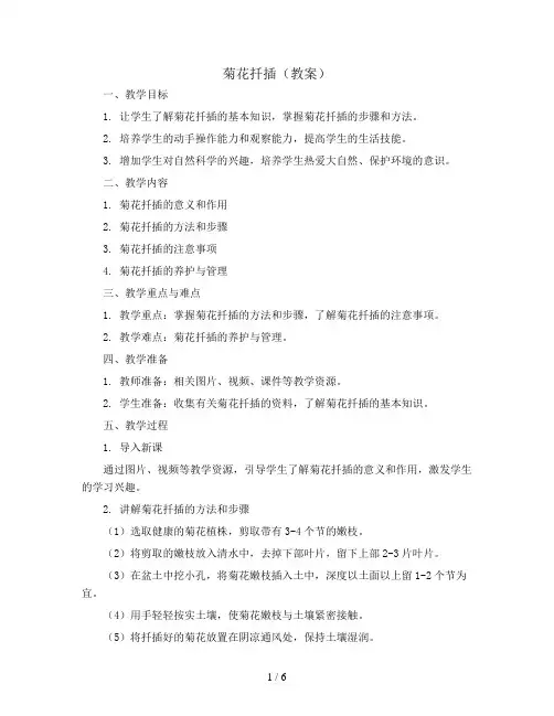 菊花扦插(教案)苏教版六年级上册综合实践活动