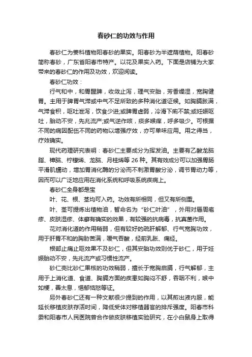 春砂仁的功效与作用