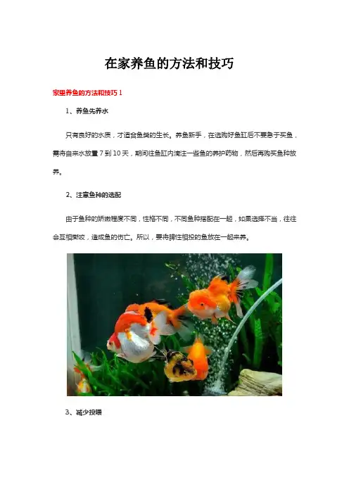 在家养鱼的方法和技巧