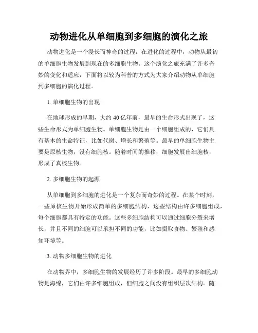 动物进化从单细胞到多细胞的演化之旅