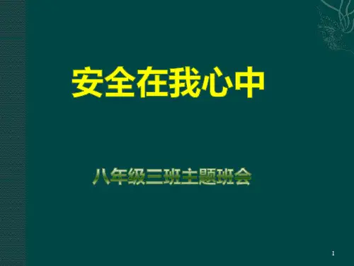 安全在我心中主题班会PPT课件