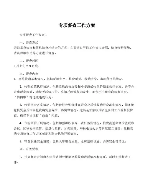 专项督查工作方案