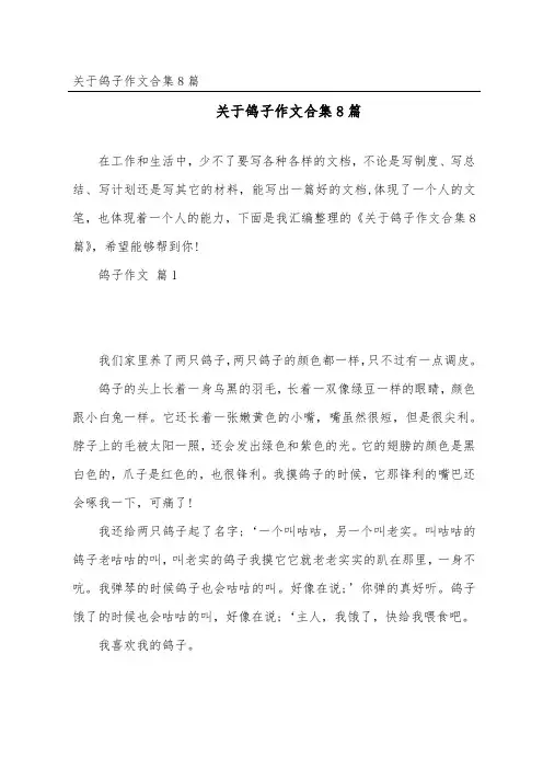 鸽子作文合集8篇
